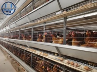 Meilleur prix pour une structure en acier préfabriquée pour poulailler et équipement avicole en structure métallique