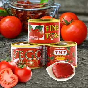 天然批发易开酱罐装番茄酱28-30%，30%-100% 纯度最佳价格