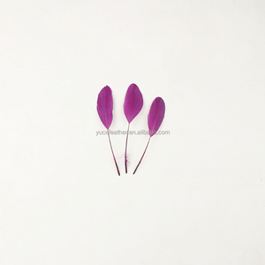 Plumas de Ganso de 13-17 cm, Teñidas a Rayas, Multicolores, Venta al por Mayor Directa de Fábrica para Decoración de Eventos - Product Image 4