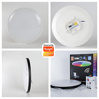 Plafonnier LED intelligent Tuya APP Wifi RGBCW 24W 85-265V à changement de couleur, contrôle vocal Alexa Google, intégration domestique, lampe RGBCCT