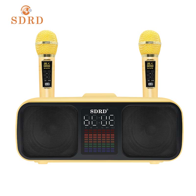 SDRD Sd318 Portable 20watts Ktv Karaoke Speaker with Microphone