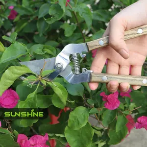 Sunshine - Tesoura de jardim clássica de aço inoxidável de alta qualidade, aparador de podas, cortador de ramos e plantas, secador com Handel de madeira