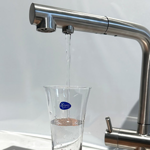 Modern Design Classic Stainless Steel Dual Handle 3-Way Faucet Pure Water Kitchen Sink Mixer Tap Ceramic Valve Core - Product Image 6