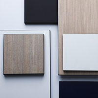 Vente flash DEBO Plaque stratifiée haute pression 1220*2440mm pour revêtement mural d'hôtel Design moderne Résistant au feu