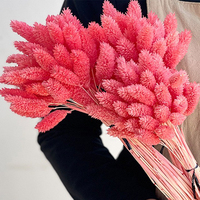 50pcs Bunga Rumput Pampas Kering Alami untuk Dekorasi Pernikahan, Bridal Shower, Pesta, Rumah, Natal, Wisuda, Paskah