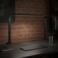 Lampe de bureau LED à spectre complet 24W, CRI 95 élevé, protection oculaire, sans scintillement, intensité réglable par glissière, avec pince, pour l'étude, la maison et le bureau