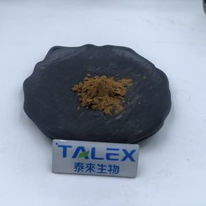 Extrait de champignon Maitake direct d'usine, naturel, 30% de polysaccharides, poudre d'extrait de champignon Maitake - Product Image 4