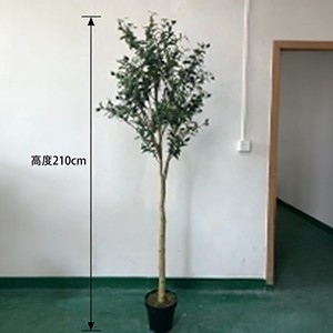 Olivos de Plástico Desmontables para Decoración Interior/Exterior, Navidad y Año Nuevo, Ecológicos, Paquete de Varias Piezas - Product Image 2