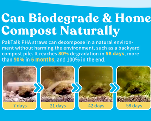 Pailles biodégradables à base de PHA végétal, 100 % écologiques, sans plastique, pour boissons chaudes et froides - Product Image 2