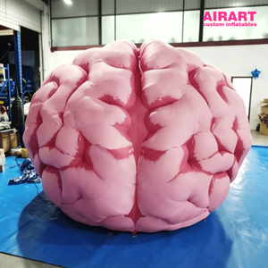Modèle <span class=keywords><strong>de</strong></span> cerveau humain gonflable géant personnalisé 3M rose, simulation anatomique, accessoire pour <span class=keywords><strong>l</strong></span>'affichage éducatif dans les musées scientifiques - Product Image 4