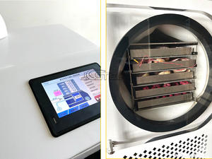 Mesin pengering beku, bubuk bawang putih kering kapasitas Mini 1kg untuk bawang putih beku semanggi bawang putih bubuk - Product Image 4