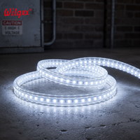Bande LED double face de haute qualité 15x8mm, étanche IP68, 110V 220V, flexible, pour projets de construction