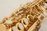 Professional Brass Body Gold Lacquered Student Straight B Flat Curved Mouthpiece Soprano Saxophone BB