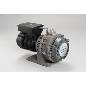 1/3 Fase Motor, 50/60Hz Geowell Scroll Vacuümpomp Fabrikant Gwsp75 Biedt Olievrije, Stille En Duurzame Vacuüm