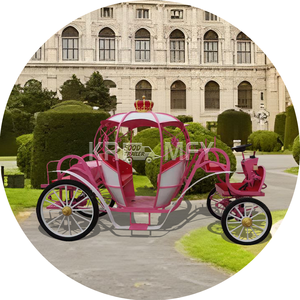 Elegante Cenicienta boda eléctrico sin caballos turismo carro especial calabaza caballo carro para el transporte - Product Image 1