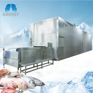 Arkref Manufacturers Supply Tunnel Freezer machine freeze Fruit And Vegetable Freezers