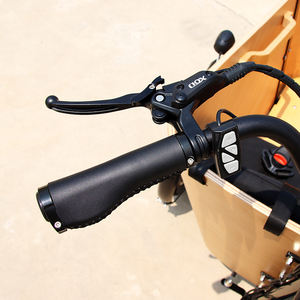 Tricycles électriques hollandais Ebike à 3 roues, vélo cargo familial Bakfiet, <span class=keywords><strong>tricycle</strong></span> familial pour adultes, grand <span class=keywords><strong>tricycle</strong></span> cargo pour les courses - Product Image 5