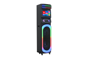 רמקול קריוקי פרטי עם WiFi, מסך מגע RGB, וופר כפול 12 אינץ', למסיבות וידאו, אלחוטי 5.0 למחשב ולטלפון נייד - Product Image 2