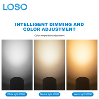 LOSO Factory Direct Intérieur Bureau Magasin Blanc Noir Aluminium 10W 20W 30W 40W Plafonnier LED encastré sur rail