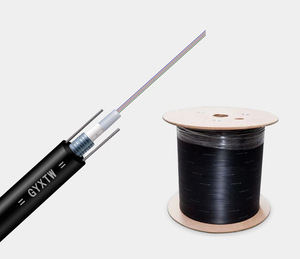 Cable de <span class=keywords><strong>Fibra</strong></span> Óptica Blindado GYXTW 12/24 Hilos 250um con <span class=keywords><strong>Buffer</strong></span> Ajustado G.652D Monomodo para Exterior con Cinta de Acero PSP/APL 1km Usado en FTTH FTTX - Product Image 6