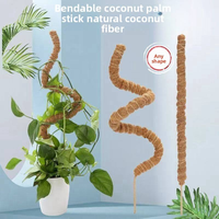Support de plante en forme de bâton de cocotier pliable, écologique, pour jardin et plantes Pothos – Vente transfrontalière à succès