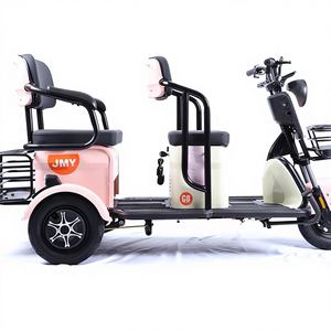 Tricycle électrique chinois pour adultes, 3 roues, vitesse unique, 48V 600W, cadre en acier à haute teneur en carbone, frein à tambour, roue 300-8, siège passager, chargement - Product Image 1