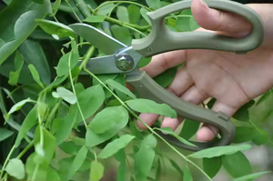 Kéo thép không gỉ gia dụng 7 inch có tay cầm bằng nhựa để cắt tỉa làm vườn - Product Image 4