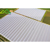 Grote enkellaagse plastic folie multispan kas met geautomatiseerde systemen voor commerciële groente- en bessenteelt