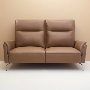 Sofá de Cuero de Diseño Ergonómico y Simple con Asiento Ajustable, Relleno de Esponja de Alta Densidad y Estructura Metálica para Uso en el Hogar o Hotel - Product Image 1