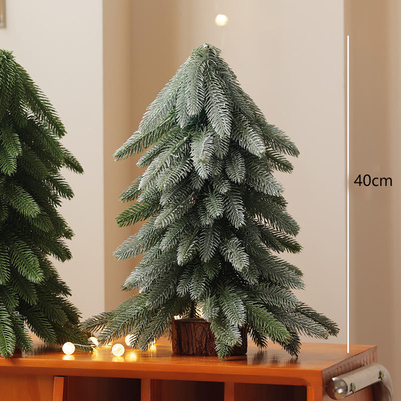 Sapin noble, Arbre argenté, 40 cm.