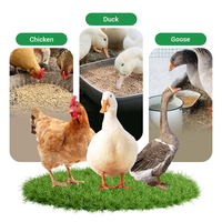 Fabricant de granulés d'aliments pour animaux de ferme, diesel, structure compacte, faible vibration, pour la volaille et les lapins de jardin