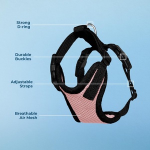 Factory Price Custom Logo No Pull No Choke Adjustable Breathable Air Mesh Dog <b>Pet</b> Vest <b>Harness</b> with Leash - Product Image 4