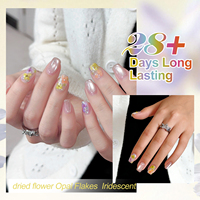 Missgooey Nouveauté : 6 Couleurs de Gel pour Nail Art DIY, Fleurs Séchées, Poudre Opale, Paillettes Fines et Flocons Iridescentes pour la Décoration des Ongles