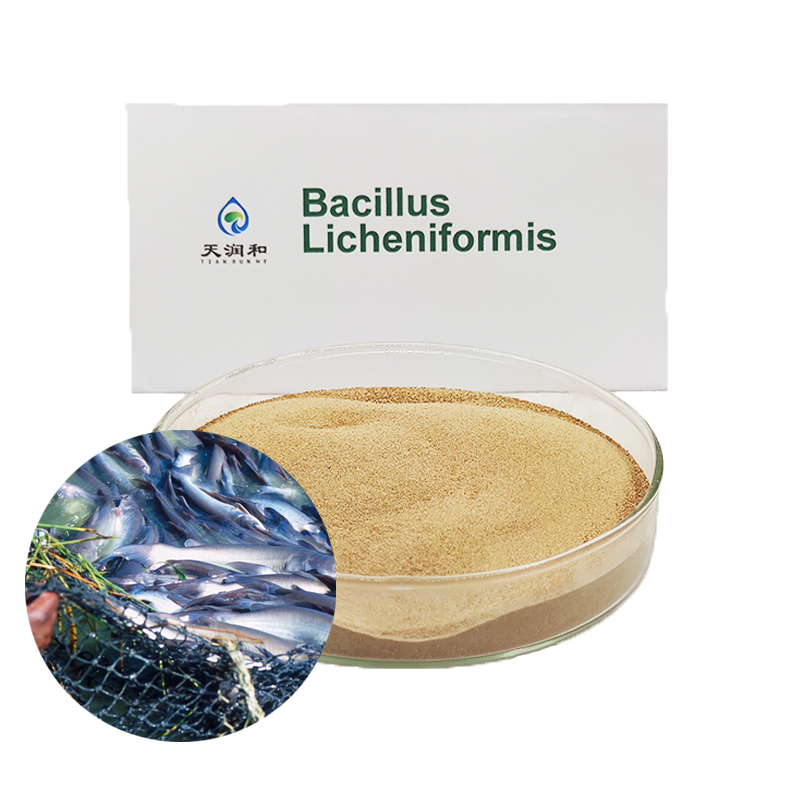 Пробиотик для рыбного хозяйства, личенформис, пробиотики для biofloc