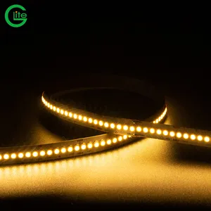 Luzes de tira flexíveis LED de alto brilho para engenharia de baixa tensão 10 mm de largura 24 V única linha 240 lâmpadas