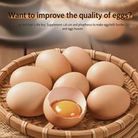 Star Dome Trade Enrichisseur d'aliments pour volailles à base de coquille d'œuf, Acides aminés de qualité alimentaire, Stimulateur de croissance pour poulets de chair, pour la nutrition avicole, 24 mois
