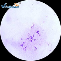 Popular Set of Student Medical Parasitology Slides(50 Kinds) Schistosome Microscope Slide Amoeba Teaching Slides