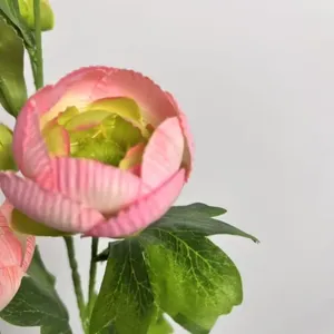 Ranúnculo Asiático de Seda Individual para Decoración de Bodas y Hogar, Venta al por Mayor de Fábrica, Precio al por Mayor, Flor Artificial, Muestra Gratuita, ODM - Product Image 6