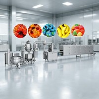 CE-gekeurde PLC-gestuurde industriële vitamine gummy plantenmachine voor het produceren en verpakken van center-filled gummies (150-600 kg/uur)