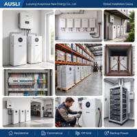 Batterie domestique LiFePO4 10,24 kWh 10 kWh 51,2 V 200 Ah, système de stockage d'énergie solaire, alimentation de secours hors réseau, IP65