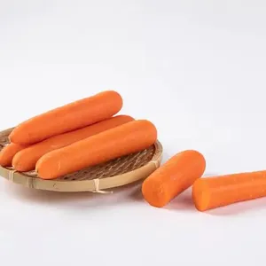Macchina automatica per l'estrazione dell'acqua della carota macchina per la pulizia della carota della sbucciatrice della carota del bambino