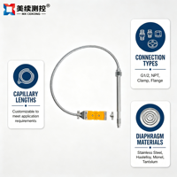 Sonde de température des gaz d'échappement avec pointe exposée et connecteur, longueur 2 m / 78,74 pouces, thermocouple EGT de type K 1/8" NPT