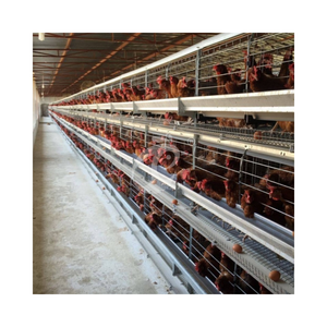 กรงแบตเตอรี่ไก่นก120สำหรับสำนักงานและคลังสินค้าใน Lagos และ Abuja - Product Image 3