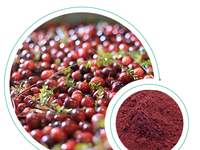 Extrait de canneberge Jianfeng, proanthocyanidines A2 DMAC 15%, poudre de fruits de qualité alimentaire, extrait de fruits Vaccinum Macrocarpon Ait