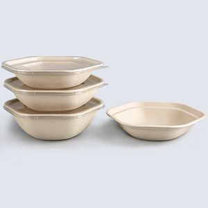 一次性纸浆可生物降解纸质食品饭盒碗 - Product Image 1
