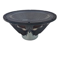 Haut-parleur de basses professionnel puissant de 21 pouces en fibre de carbone Neo, 2500W 5000W, super basses profondes, 97dB, pour DJ, scène, système audio