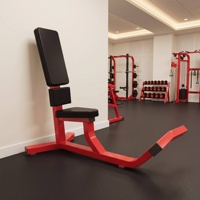 Banc utilitaire robuste en acier REYK REYK-HMGP113, inclinaison à 75 degrés pour exercices de musculation, utilisation intérieure/commerciale, léger et sûr pour la musculation
