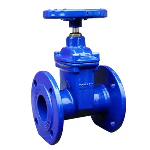 Hand Wheel Flange Gate Valve CF8M WCB SS Flanged Valve Forged Stainless Steel Two Way 150lb Manual Slide Gate Valve General