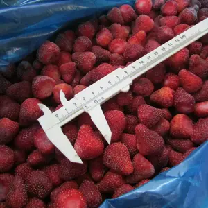 Strawberry Fruit Factory Price IQF Frozen Strawberry Fruits