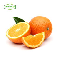 Naveloranjes Valencia-sinaasappels Vers fruit Hoge kwaliteit Verse sinaasappels